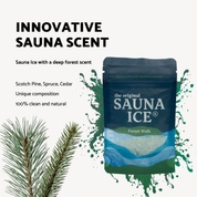 Sauna Jäämetsäkävely